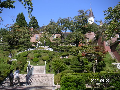 s_PICT0115s.png